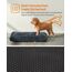 Feandrea Hundebett, Hundekissen, Flauschige Hundematte, Langer Plüsch, 80 x 50 cm, weiche Polsterung, maschinenwaschbar, multifunktional, dunkelgrau PGW201G02