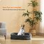 HMTOPE Orthopädisches Hundebett, Hundesofa, Vierseitiges Nackenrolle Kissen, rutschfeste Unterseite Hundekorb, Abnehmbar und Waschbar, Kleine Hunde, 71 x 53 x 14 cm, Dunkelgrau