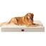 EHEYCIGA Orthopädisches Hundebett Grosse Hunde XL 112x81x9cm, Hundekissen Waschbar Flauschig, Hundematte Hundematratze für Kiste, Kamel