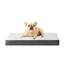 EHEYCIGA Orthopädisches Hundebett Kleine Hunde 76x51x9cm, Hundekissen Waschbar Flauschig, Hundematte Hundematratze für Kiste, Beige
