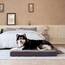 EHEYCIGA Orthopädisches Hundebett Mittelgroße Hunde 91x68x9cm, Hundekissen Waschbar Flauschig, Hundematte Hundematratze für Kiste, Grau