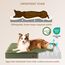 EHEYCIGA Orthopädisches Hundebett Kleine Hunde 76x51x9cm, Hundekissen Waschbar Flauschig, Hundematte Hundematratze für Kiste, Olive Grün