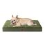 EHEYCIGA Orthopädisches Hundebett Kleine Hunde 76x51x9cm, Hundekissen Waschbar Flauschig, Hundematte Hundematratze für Kiste, Olive Grün
