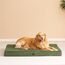 EHEYCIGA Orthopädisches Hundebett Kleine Hunde 76x51x9cm, Hundekissen Waschbar Flauschig, Hundematte Hundematratze für Kiste, Olive Grün