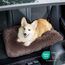 BEDSURE Flauschiges Hundebett mittelgroße Hunde - 74x53x8 cm Hundebett waschbar, rutschfeste Unterseite, plüsch Hundekissen, Braun