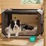 BEDSURE Flauschiges Hundebett Grosse Hunde - 89x58x8 cm Hundebett waschbar für große Hunde, rutschfeste Unterseite, plüsch Hundekissen, Kamel