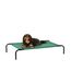 Amazon Basics Kühlendes erhöhtes Haustierbett Hund, Größe S, Grün