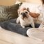 BEDSURE Hundebett Waschbar - Hundekissen Bett Beruhigende Hundematratze mit Rutschfestem Boden, Warmes Kissen für Haustiere, Grau, 74x53x8cm