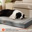 BEDSURE waschbares Hundebett für mittelgroße Hunde - 89x56x7cm Komfort Hundekissen mit Rutschfester Basis und abnehmbarem waschbarem Bezug, Eierkarton-Schaumstoff Hundematte, Grau