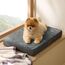 BEDSURE orthopädisches Hundekissen kleine Hunde - 61x41x8cm waschbares Hundebett mit 2 in 1 Memoryschaum, kuscheliges Hundematte Hundematratze, dunkelgrau