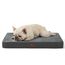 BEDSURE orthopädisches Hundekissen mittelgroße Hunde - 74x46x8cm waschbares Hundebett mit 2 in 1 Memoryschaum, kuscheliges Hundematte Hundematratze, dunkelgrau
