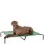 Amazon Basics Kühlendes erhöhtes Hund Haustierbett, Grün, Größe XL, L 153 x B 94 x H 23 cm