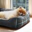 BEDSURE Katzenbett große Katzen waschbar - 63.5x53cm rutschfestes Hundebett kleine Hunde, quadratisches Katzenkorb mit weichem Rand, Dunkelgrau