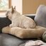BEDSURE Hundebett Waschbar Groß - Hundekissen Bett Beruhigende Hundematratze mit Rutschfestem Boden, Warmes Kissen für Große Haustiere, Kamel, 74x53x8cm