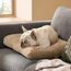 BEDSURE Hundebett Waschbar Groß - Hundekissen Bett Beruhigende Hundematratze mit Rutschfestem Boden, Warmes Kissen für Große Haustiere, Kamel, 74x53x8cm