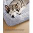 Feandrea Hundebett, extra großes Hundekissen, 120 x 85 x 23 cm, Hundekorb, weiche Polsterung, Hundesofa, erhöhte Ränder, Bezug abnehmbar und waschbar, rutschfest, Ombré-Grau PGW274GA01