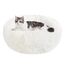 Hundebett Katzenbett Flauschig Rund aus Plüsch - Donut Kuscheliges Hundekissen Hundekorb Waschbar S/M/L/XL/XXL für Kleine, Mittelgroße und Große Hunde, Katzen und Andere Haustiere (M-50cm, Weiß)