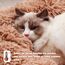 Hundebett Katzenbett Flauschig Rund aus Plüsch - Donut Kuscheliges Hundekissen Hundekorb Waschbar S/M/L/XL/XXL für Kleine, Mittelgroße und Große Hunde, Katzen und Andere Haustiere (S-40cm, Braun)