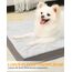 KSIIA Hundebett Orthopädisch Mittelgroße Hunde, Hundekissen Waschbar 75x47cm, Hundebetten mit Abnehmbarer Deckel, Hundematte Doppelseitig Wendbare, Grau