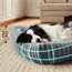 BEDSURE waschbares Hundebett für große Hunde - 109x76x20cm weicher orthopädischer Hundekorb mit bequemem Fleece-Bezug, rutschfestes Hundebett mit hohem Rand in grau
