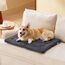 BEDSURE waschbar Hundematte Mittelgroße Hunde - 74x46 cm Hundekissen mittelgroße Hunde mit hochdichter Schaumstofffüllung, Sherpa-Plüsch waschbar Hundematratze, dunkelgrau