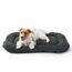 BEDSURE waschbar Hundekissen für mittelgroße Hunde - dünne Hundebette kleine und mittelgroße Hunde, weiche und Bequeme Hundematte mit Rutschfester Unterseite- 74x46 cm,Dunkelgrau