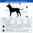DOGGYHUT® Premium XL 2 in 1 Hundefahrradanhänger & Jogger 23-45 kg Fahrradanhänger für Hunde Hundeanhänger für Fahrrad 80106 (BLAU)
