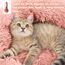 Hundebett Katzenbett Flauschig Rund aus Plüsch - Donut Kuscheliges Hundekissen Hundekorb Waschbar S/M/L/XL/XXL für Kleine, Mittelgroße und Große Hunde, Katzen und Andere Haustiere (XXL-80cm, Rosa)