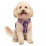 Funfox Hundegeschirr Kleine Hunde [S] - Anti Zug Welpengeschirr mit Griff & Ringreflektoren, Atmungsaktives Verstellbares No Pull Brustgeschirr für Kleine/Mittelgroße Hunde Outdoor Mosaik Rosa