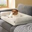 BEDSURE orthopädisches Hundebett für mittelgroße Hunde - 76x51x16.5cm wasserdichtes Hundesofa mit Memory-Schaum & Eierkarton-Schaum, waschbarer und Abnehmbarer Cordbezug Hundecouch, Creme