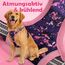 Funfox Hundegeschirr Kleine Hunde [S] - Anti Zug Welpengeschirr mit Griff & Ringreflektoren, Atmungsaktives Verstellbares No Pull Brustgeschirr für Kleine/Mittelgroße Hunde Outdoor Mosaik Rosa