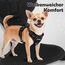 Funfox Hundegeschirr Mittelgroße Hunde, Anti Zug Brustgeschirr Verstellbares Geschirr Hund mit Griff Reflektorstreifen, No Pull Geschirr Hund für Kleine Mittlere Grosse Dog Harness Schwarz L