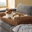 BEDSURE orthopädisches Hundebett für mittelgroße Hunde - 76x51x16.5cm wasserdichtes Hundesofa mit Memory-Schaum & Eierkarton-Schaum, waschbarer und Abnehmbarer Cordbezug Hundecouch, Kamelbraun