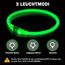 Nepfaivy Leuchthalsband Hund USB Aufladbar - Wasserdichtes Hundehalsband Leuchtend mit 3 Beleuchtungsmodi, Längenverstellbareres LED Halsband für Kleine, Mittlere und Große Hunde (Grün)
