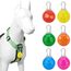 Homeet 6 Stück Hunde Sicherheits Blinklicht Clip-On LED Leuchtanhänger Haustier Leuchthalsband mit 3 Blinkmodis Sicherheitslicht für Hund Sicherheit