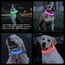 Leuchthalsband für Hunde mit wiederaufladbarem LED-Licht, Leuchtband für Hunde, größenverstellbar mit drei Lichtmodi, Sicherheit für Ihren Hund bei Nacht, Blau