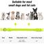 Visinite Leuchthalsband Hund,Wasserdicht,Verstellbare,USB Aufladbar LED Hunde Halsbänder, Leuchtet im Dunkeln,Leuchtendes Hundehalsband hält Ihren Kleinen Hund Sichtbar und Sicher,Grün,S