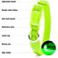 Visinite Leuchthalsband Hund,Wasserdicht,Verstellbare,USB Aufladbar LED Hunde Halsbänder, Leuchtet im Dunkeln,Leuchtendes Hundehalsband hält Ihren Kleinen Hund Sichtbar und Sicher,Grün,S