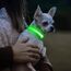 Visinite Leuchthalsband Hund,Wasserdicht,Verstellbare,USB Aufladbar LED Hunde Halsbänder, Leuchtet im Dunkeln,Leuchtendes Hundehalsband hält Ihren Kleinen Hund Sichtbar und Sicher,Grün,S