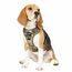 Funfox Hundegeschirr Kleine Hunde [M] - Anti Zug Welpengeschirr mit Griff & Ringreflektoren, Atmungsaktives Verstellbares No Pull Brustgeschirr für Kleine Mittelgroße Hunde Outdoor Kampfuniformgrün