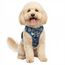 Funfox Hundegeschirr Kleine Hunde [S] - Anti Zug Welpengeschirr mit Griff & Ringreflektoren, Atmungsaktives Verstellbares No Pull Brustgeschirr für Kleine/Mittelgroße Hunde Outdoor Mosaik Blau