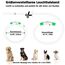 Nepfaivy Leuchthalsband Hund USB Aufladbar - Wasserdichtes Hundehalsband Leuchtend mit 3 Beleuchtungsmodi, Längenverstellbareres LED Halsband für Kleine, Mittlere und Große Hunde (Grün)
