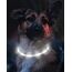 Joytale Leuchthalsband Hund USB Aufladbar Hundehalsband Leuchtend für Große Mittel Kleine Hunde und Welpe, Led Halsband mit 3 Modi für Sicherheit, Weiß