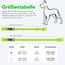 Leuchthalsband Hund, Colaseeme LED Hunde Leuchthalsband, Wasserdicht Hundehalsband Leuchtend, HundeleuchthalsbäNder Aufladbar für Pet Night Walking Safety, grün M