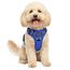 Funfox Hundegeschirr Kleine Hunde [S] - Anti Zug Welpengeschirr mit Griff & Ringreflektoren, Atmungsaktives Verstellbares No Pull Brustgeschirr für Kleine/Mittelgroße Hunde Outdoor Blau