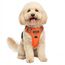 Funfox Hundegeschirr Kleine Hunde [S] - Anti Zug Welpengeschirr mit Griff & Ringreflektoren, Atmungsaktives Verstellbares No Pull Brustgeschirr für Kleine/Mittelgroße Hunde Outdoor Orange