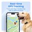 Tractive GPS Tracker Hund | 2025 Edition | Live-Ortung | Weglaufalarm | Aktivitätstracking | Gesundheitswarnungen | Bellverhalten | Empfohlen von Martin Rütter (Braun)