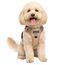 Funfox Hundegeschirr Kleine Hunde - Anti Zug Welpengeschirr mit Griff & Ringreflektoren, Atmungsaktives Verstellbares No Pull Brustgeschirr für Kleine Mittelgroße Hunde Outdoor Braun S