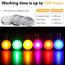 Homeet 6 Stück Hunde Sicherheits Blinklicht Clip-On LED Leuchtanhänger Haustier Leuchthalsband mit 3 Blinkmodis Sicherheitslicht für Hund Sicherheit