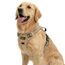 Funfox Hundegeschirr Mittelgroße Hunde [L] - Verstellbares Anti-Zug Brustgeschirr mit Griff & Reflektorstreifen, Atmungsaktives No Pull Hundegeschirr für Grosse/Kleine Hunde Outdoor Braun